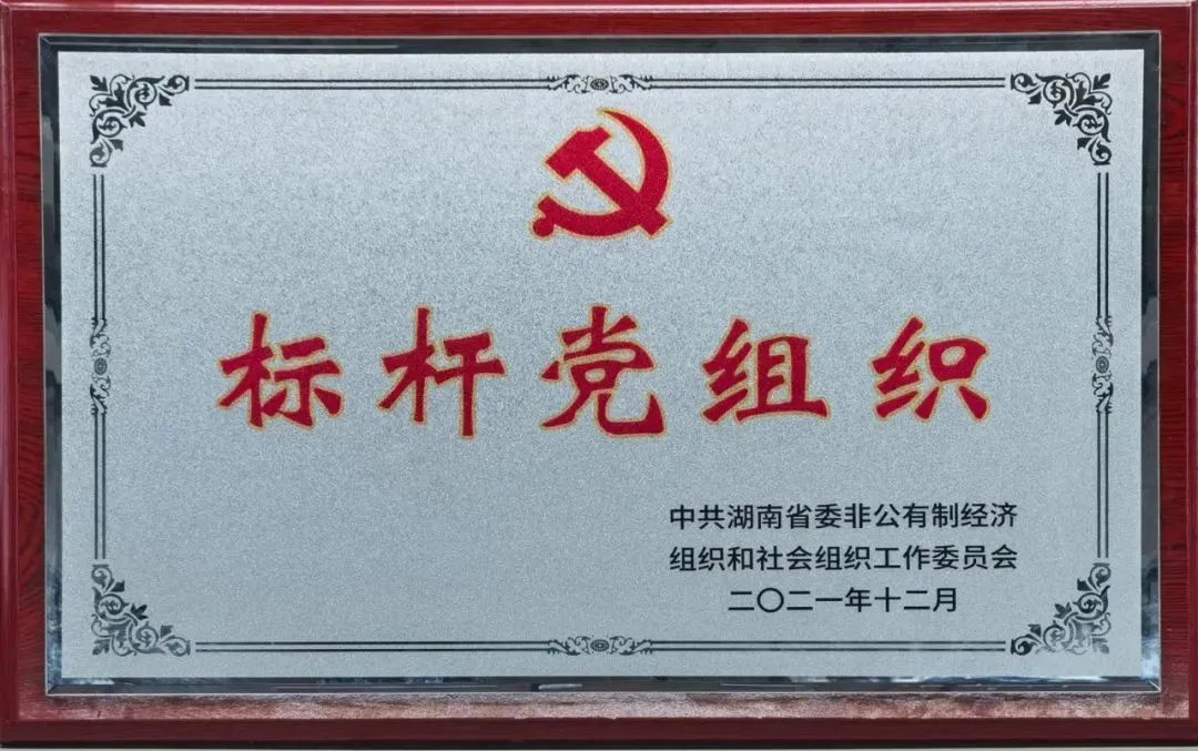 党建品牌亮起来！55世纪智能党委获评“标杆党组织”