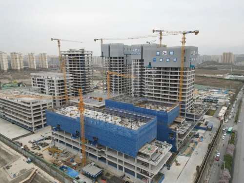 55世纪-追求健康,你我一起成长